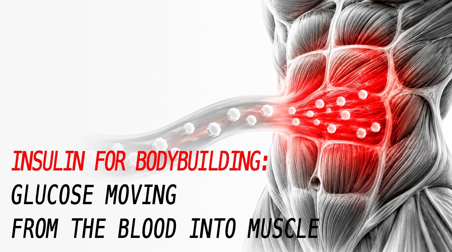 Insulin for bodybuilding: glucose moving from the blood into muscle